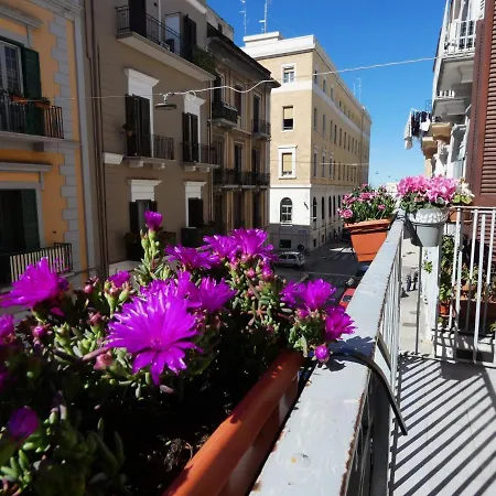 House Sasanelli 아파트 *